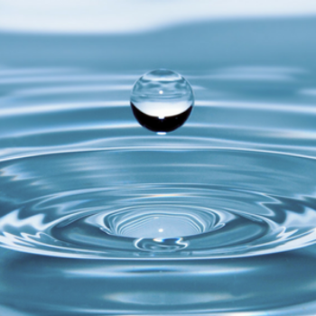 Soyez prévoyants : la Journée mondiale de l’eau et Une heure pour la Terre
