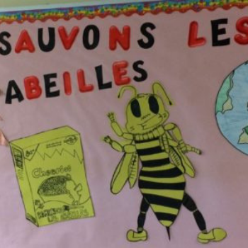 Saint-Nicolas’ Save the Bees campaign