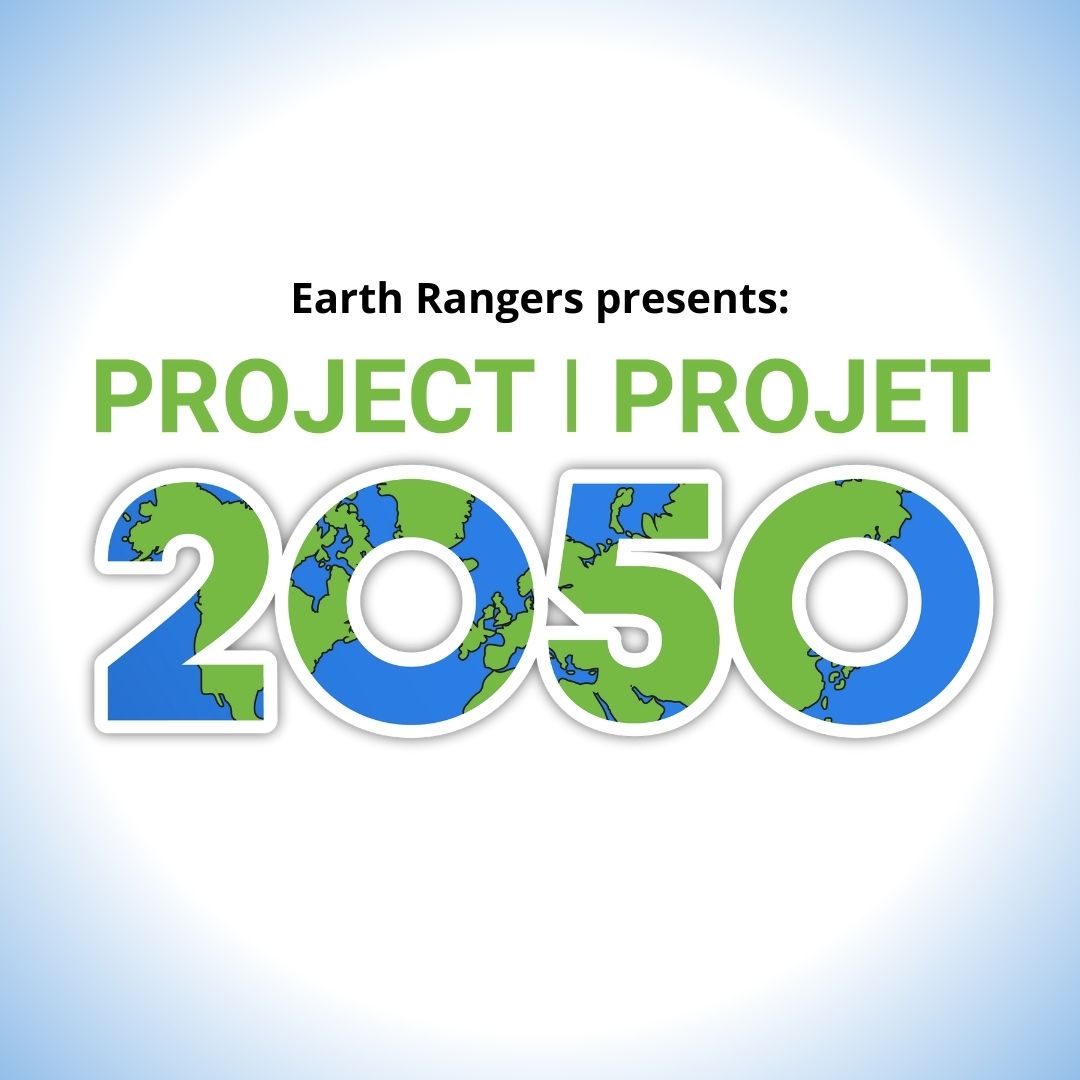 https://ecoschools.ca/wp-content/uploads/2021/10/Website-Featured-Images-Project-2050-WORDPRESS.jpg